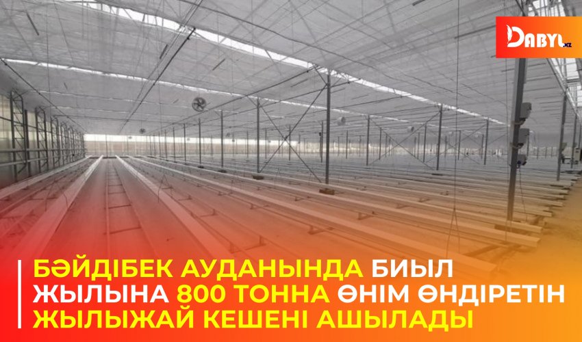 Бәйдібек ауданында биыл жылына 800 тонна өнім өндіретін жылыжай кешені ашылады