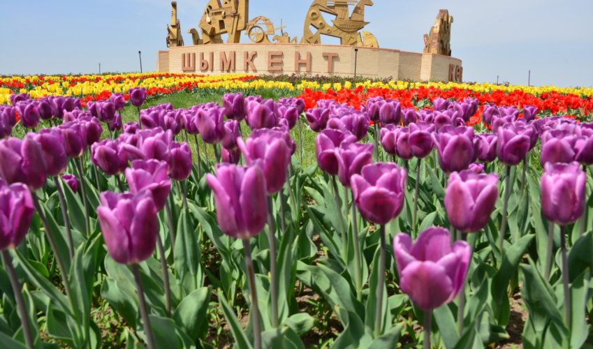 ЧИСЛО ТУРИСТОВ, ПОБЫВАВШИХ В ШЫМКЕНТЕ, УВЕЛИЧИЛОСЬ НА 13,1 ПРОЦЕНТА