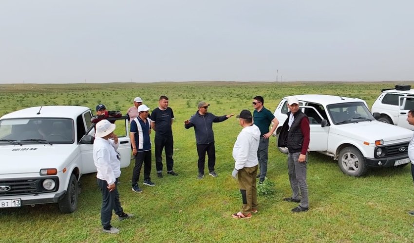 КЕЛЕС АУДАНЫНДА ШЕГІРТКЕГЕ ҚАРСЫ КҮРЕС КҮШЕЙТІЛДІ: ФИТОСАНИТАРИЯЛЫҚ ҚАУІПСІЗДІК БАҚЫЛАУДА