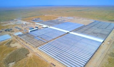 В ТУРКЕСТАНСКОЙ ОБЛАСТИ ЗАПУСТЯТ КРУПНЕЙШИЙ В СТРАНЕ ПРОМЫШЛЕННЫЙ ТЕПЛИЧНЫЙ КОМПЛЕКС