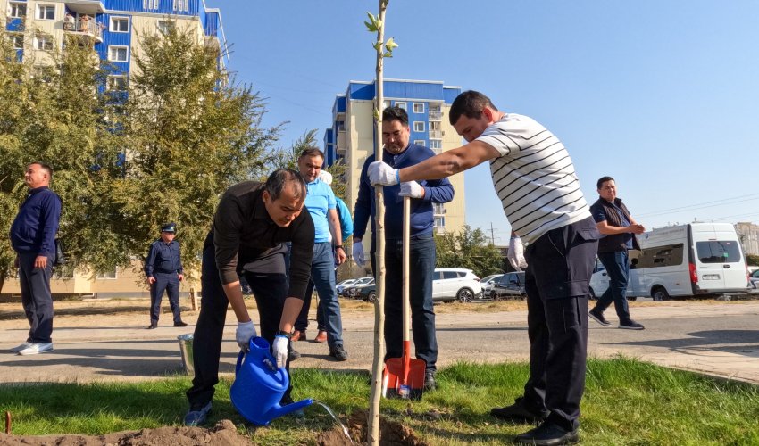 АКИМ ШЫМКЕНТА ПРИНЯЛ УЧАСТИЕ В ПОСАДКЕ ДЕРЕВЬЕВ ВМЕСТЕ С ЖИТЕЛЯМИ