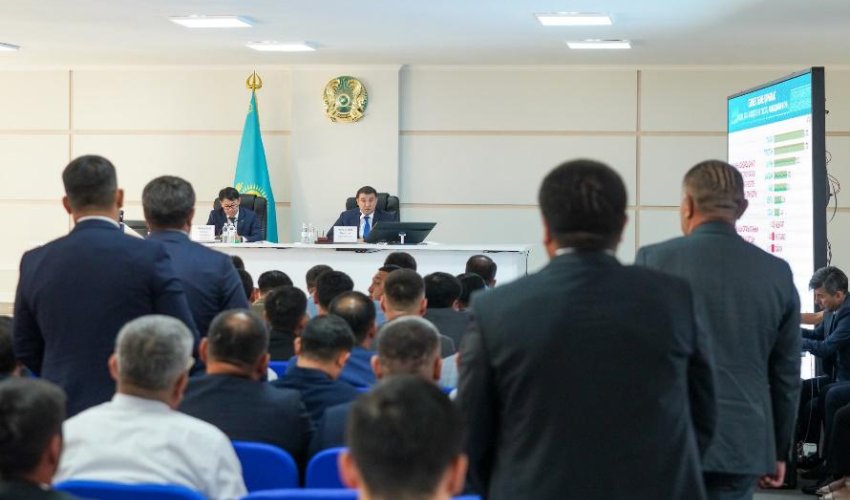 ТӨЛЕБИДІҢ ЖАҢҒЫРУ ЖОЛЫ: ЭКОНОМИКАЛЫҚ СЕРПІН МЕН ТУРИЗМ ӘЛЕУЕТІ БІР АРНАДА