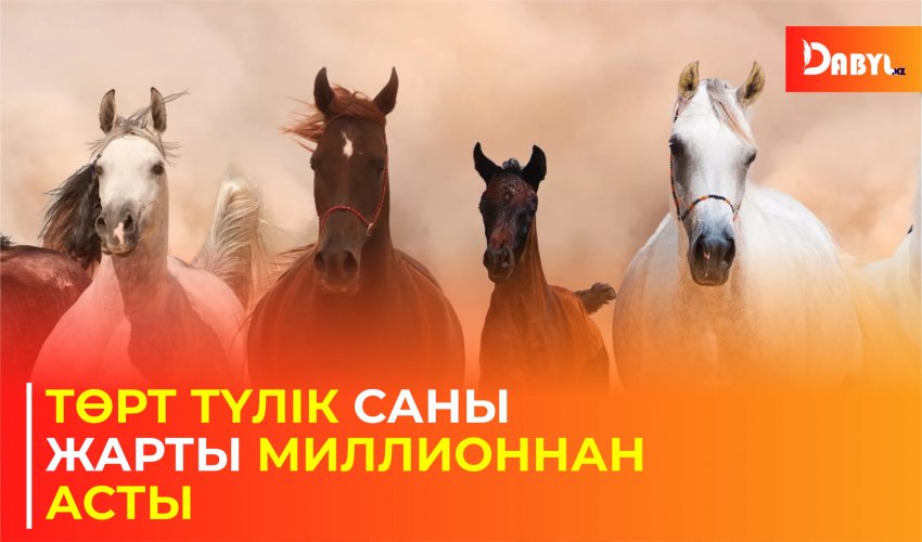 Төрт түлік саны жарты миллионнан асты