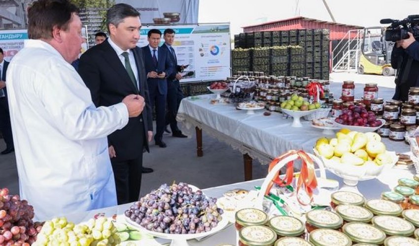 ОЛЖАС БЕКТЕНОВ ШЫМКЕНТ ҚАЛАСЫНЫҢ АУЫЛ ШАРУАШЫЛЫҒЫ САЛАСЫ МЕН ӨНЕРКӘСІПТІК ӘЛЕУЕТІНІҢ ДАМУЫН ТЕКСЕРДІ