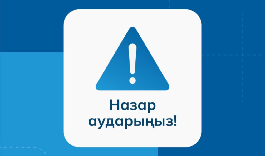 Автокөлік әуесқойлары интернет-алаяқтардың нысанасына айналды