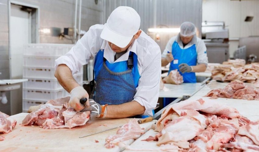 Қазақстанның ет өңдеу саласы оң даму динамикасын көрсетуде