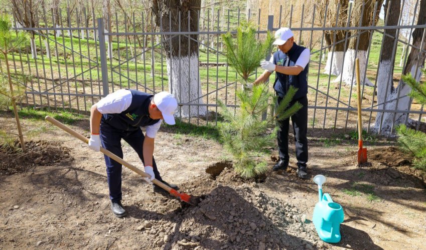 Президенттің «Таза Қазақстан» бастамасы: Олжас Бектенов Түркістан облысында «Мөлдір бұлақ» акциясына қатысты