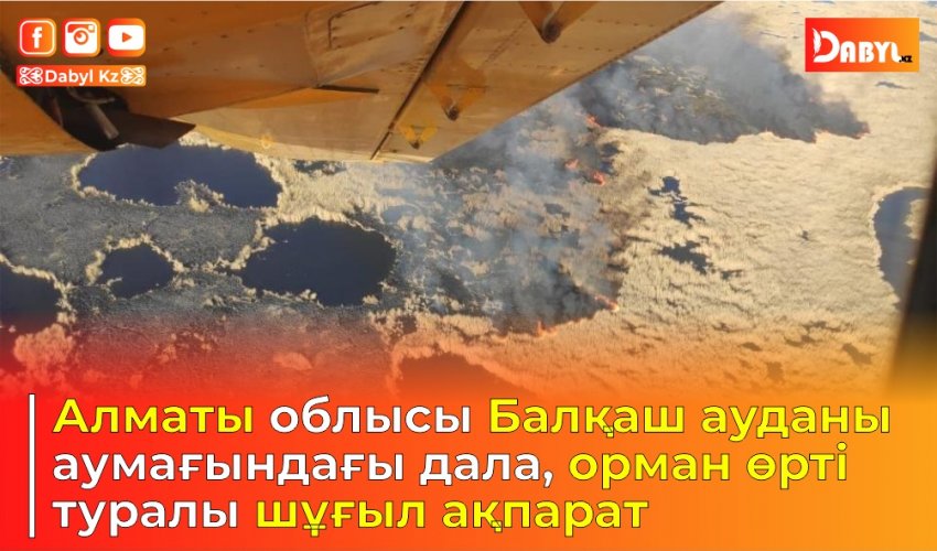 Алматы облысы Балқаш ауданы аумағындағы дала, орман өрті туралы шұғыл ақпарат