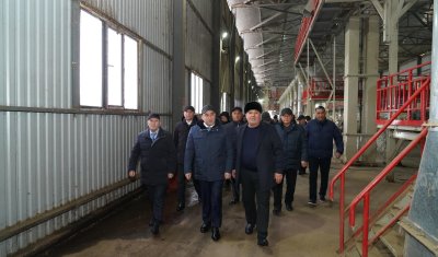 МАҚТААРАЛДАҒЫ МАҚТА КЛАСТЕРІН ДАМЫТУ: ӨНДІРІСТІК ҚУАТ ПЕН ЭКСПОРТ ӘЛЕУЕТІ АРТУДА