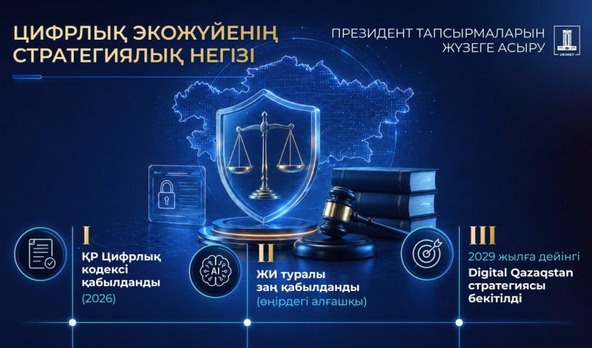 Институционалдық орта және цифрлық құқықтарды қорғау