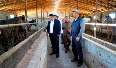 ЖЕРГІЛІКТІ КӘСІПКЕРЛІКТІ ДАМЫТУ – АУЫЛ ЭКОНОМИКАСЫНЫҢ ЖАҢА МҮМКІНДІГІ