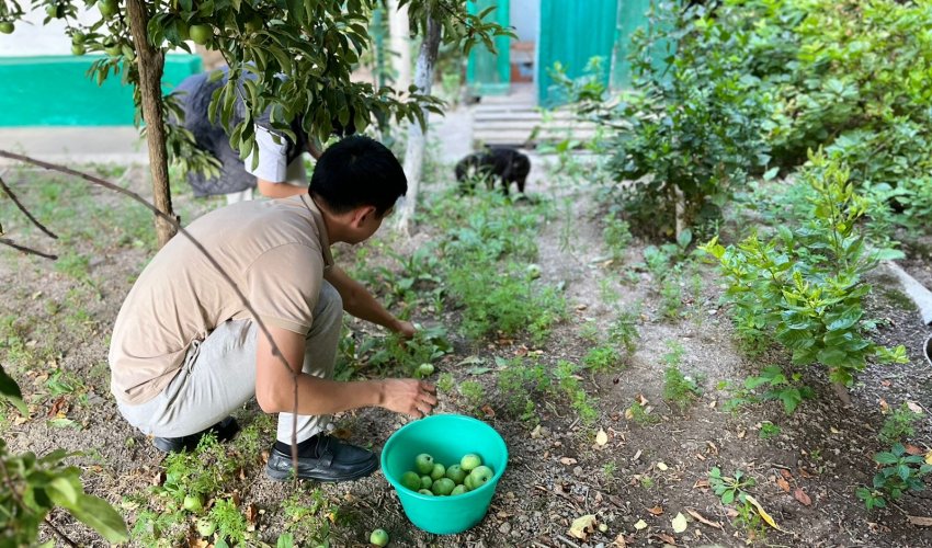 ЕРІКІТІЛЕР ЖАЛҒЫЗБАСТЫ АНАҒА КӨМЕК БЕРДІ