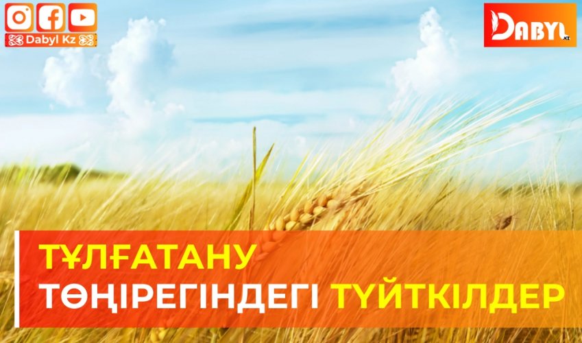 Тұлғатану төңірегіндегі түйткілдер