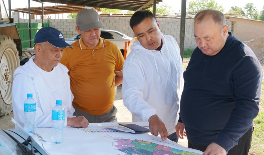 КЕЛЕС АУДАНЫНДА ШЕГІРТКЕГЕ ҚАРСЫ КҮРЕС КҮШЕЙТІЛДІ