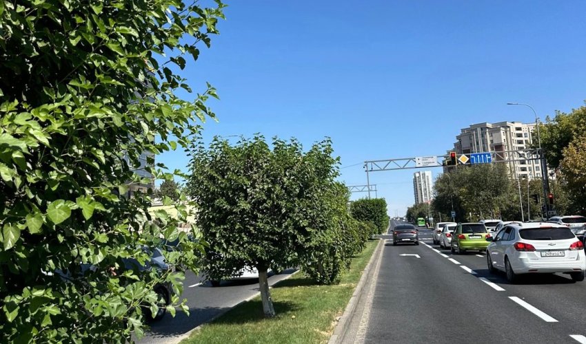 БЛАГОУСТРОЙСТВО И САНИТАРНАЯ УБОРКА В РАЙОНЕ ТУРАН ПРОВОДЯТСЯ НА ВЫСОКОМ УРОВНЕ