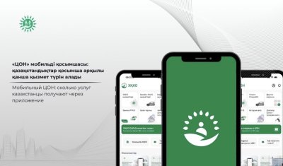 Мобильный ЦОН: сколько услуг казахстанцы получают через приложение