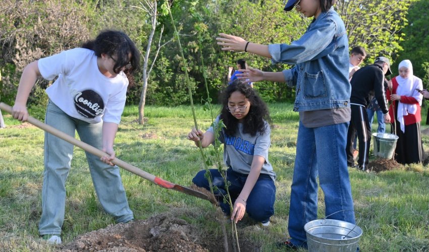 «ЖАСЫЛ АЙМАҚ» АПТАЛЫҒЫ: ДЕНДРОСАЯБАҚҚА 50 - ге ЖУЫҚ АҒАШ ЕГІЛДІ