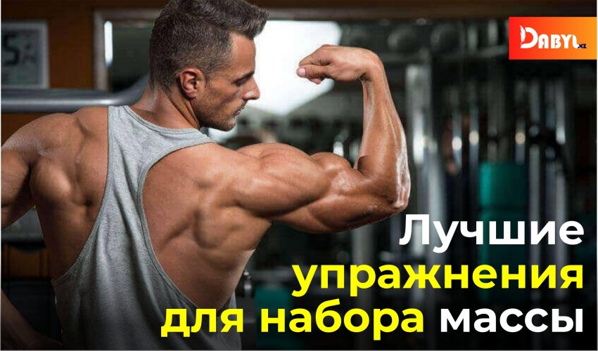 Лучшие упражнения для набора массы