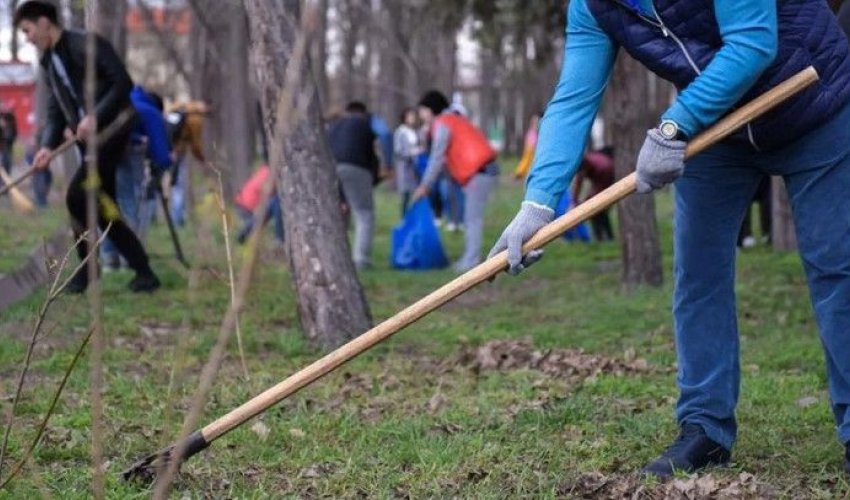 Уход за городскими зелёными насаждениями радует жителей