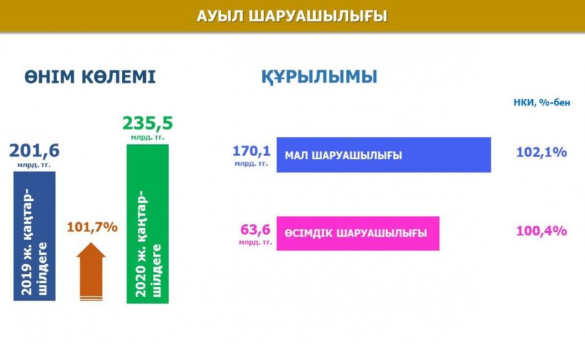 Түркістан: Өңірде биыл 654 мың тонна ауыл шаруашылығы өнімі экспортталды