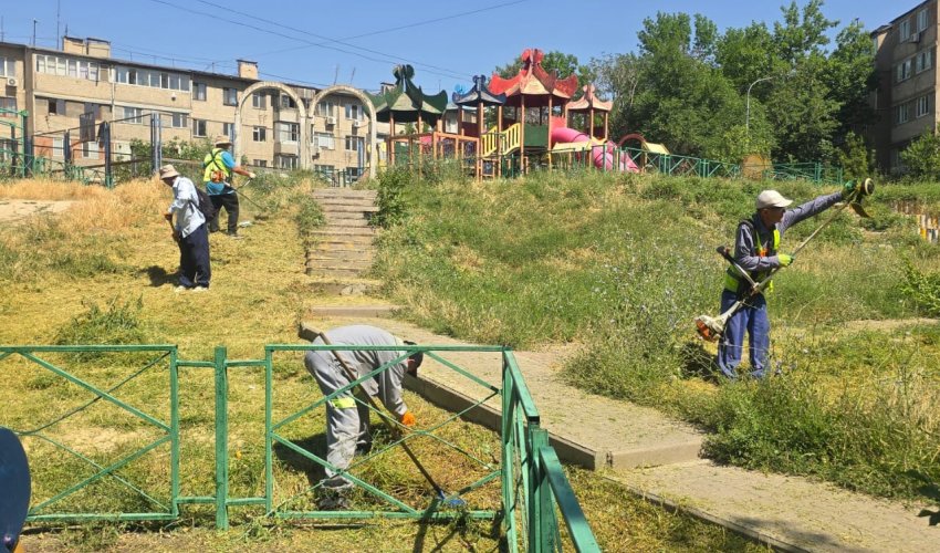 ТҰРҒЫНДАР ТАЗАЛЫҚ АКЦИЯСЫНДА БЕЛСЕНДІЛІК ТАНЫТТЫ