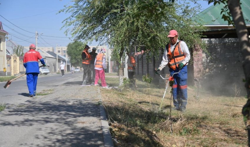 ШЫМКЕНТТЕ «ТАЗА ҚАЗАҚСТАН» АЯСЫНДА АУҚЫМДЫ АКЦИЯ ӨТТІ