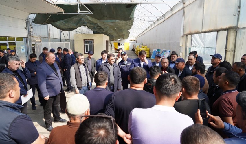 В ТУРКЕСТАНСКОЙ ОБЛАСТИ ВНЕДРЯЮТСЯ ЭКОЛОГИЧЕСКИ ЭФФЕКТИВНЫЕ СПОСОБЫ ОТОПЛЕНИЯ ТЕПЛИЦ