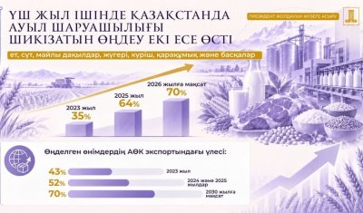 Президент Жолдауын жүзеге асыру: ауыл шаруашылығы шикізатын өңдеу үлесі екі есеге жуық артты