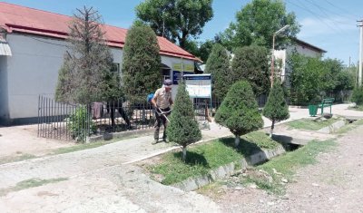 В САРЫАГАШЕ ПРОШЁЛ ОБЩЕРАЙОННЫЙ СУББОТНИК