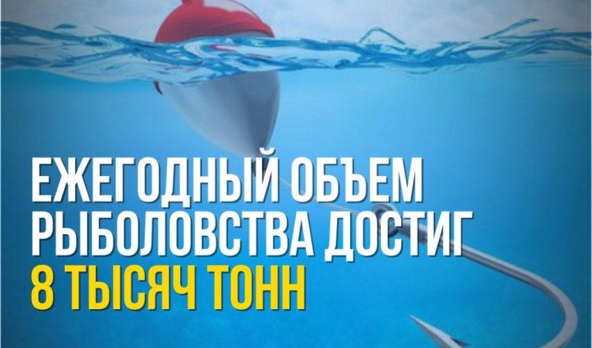 Северный Арал восстанавливается: 1 миллиард кубометров воды и зеленые пояса для возрождения Аральского моря