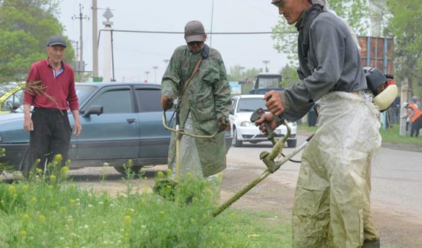 Тазалық акциясы облыс көлемінде жүйелі жүргізілуде