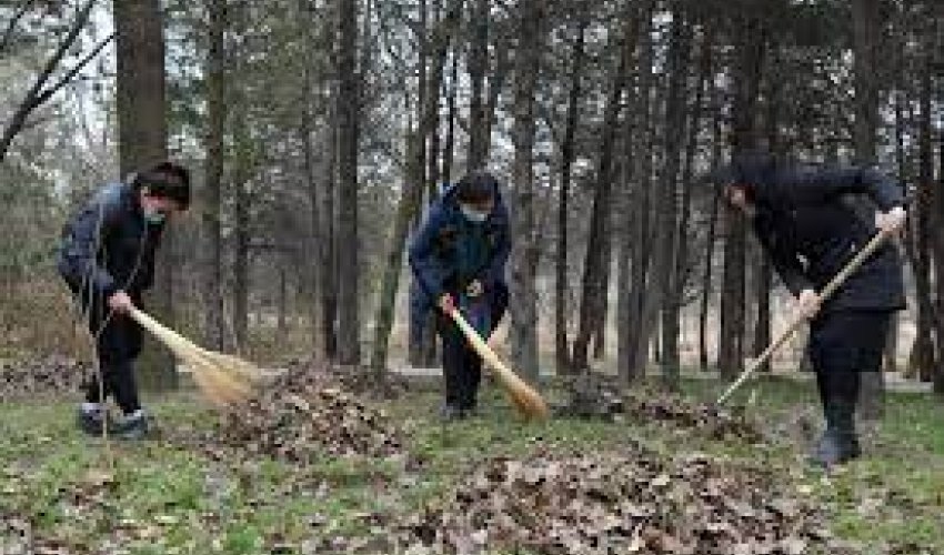 "Дүниежүзілік тазалық күні": Шымкентте жалпы қалалық сенбілік өтеді