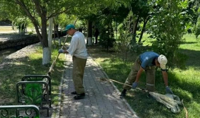 ИНИЦИАТИВА «ТАЗА ҚАЗАҚСТАН» И АКТИВНОСТЬ ЖИТЕЛЕЙ