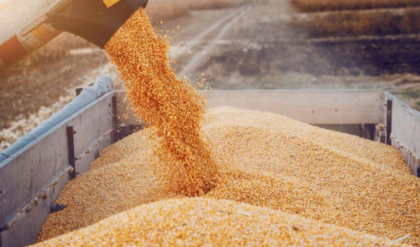 Продкорпорация направила 6,4 млрд тенге аграриям по программе форвардного