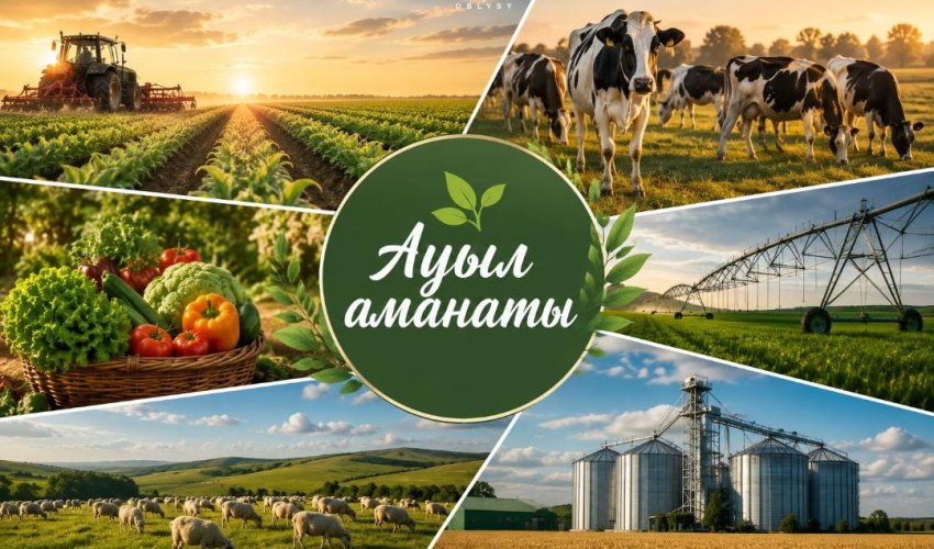 Абай облысында «Ауыл аманаты» бағдарламасы аясында 25 жоба қаржыландырылды
