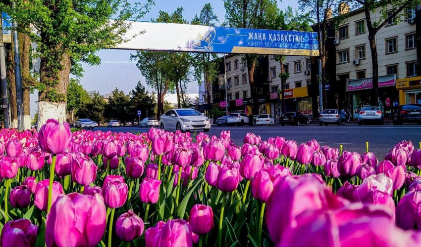 ШЫМКЕНТ ПРЕВРАЩАЕТСЯ В ГОРОД, УКРАШЕННЫЙ ЦВЕТАМИ