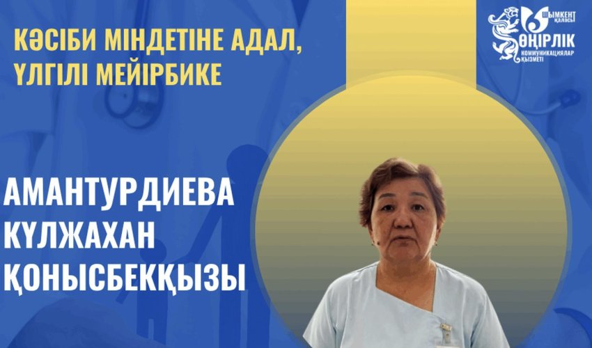 КӘСІБИ МІНДЕТІНЕ АДАЛ, ҮЛГІЛІ МЕЙІРБИКЕ